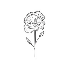 Beautiful realistic Eustoma flower branch with bud and leaves isolated on white background. Hand drawn vector sketch illustration in doodle engraved outline line art style. Floristics.