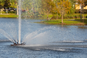 Fototapeta premium View of a small lake in the heart of a nice park in a city in Florida in the United States