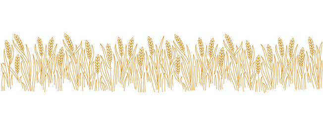 Cereal agriculture field. Vector line. Editable outline stroke. © Ilia