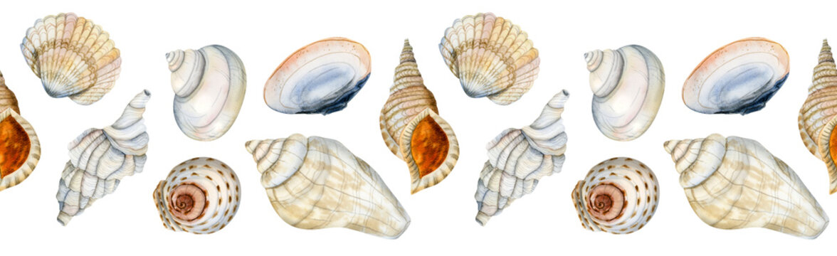 Watercolor seamless horizontal border with nautical seashells on white background in blue, orange, beige colors