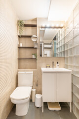 Stylish small bathroom with a toilet bowl and a sink with shelves on the background of beige mosaic tiles and glass bricks of the wall. Concept of stylish solutions in a small space
