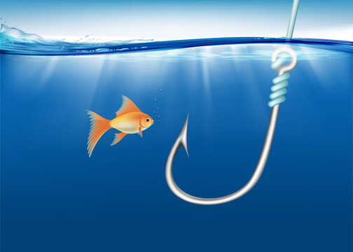 Fish Looks At A Fishing Hook Under Water