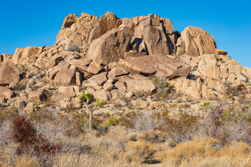 Boulders and Rock Formations at Joshua Tree National Park, California