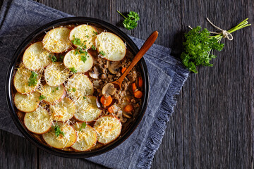 Ground Beef stew with mushrooms, carrots potatoes