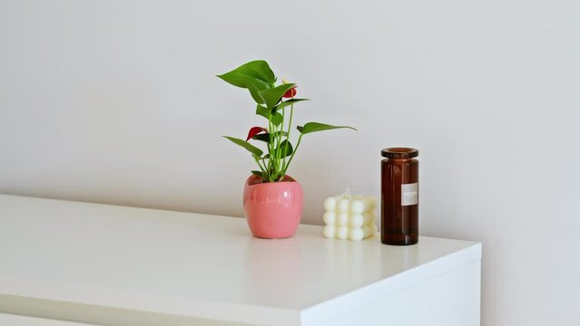 Static view of a plant and a candle on top of a white cabinet in a new modern house