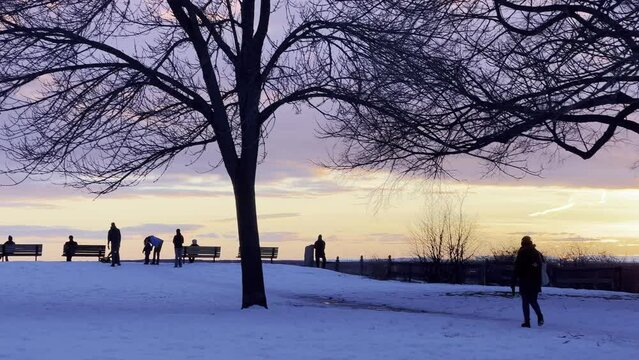 Winter Sunset Watchers & Family At Dusk in Park