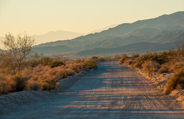 Golden Hour Mountain Range, Joshua Tree National Park, California