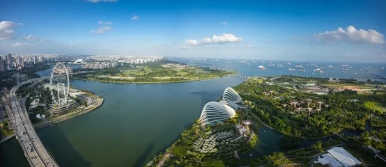 Tuinposter Singapore panorama panorama from above. Aerial view of Singapore skyline with harbour, gardens tree from bay and the big wheel. Travel to Singapore. © Dragoș Asaftei