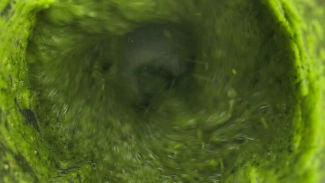 Blender grinds green herbal mass into sauce