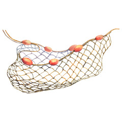 Fishing net with floats, watercolor illustration isolated on a white background. - obrazy, fototapety, plakaty