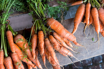 Carrots at a farmers market