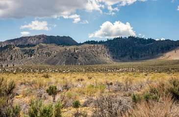 Mountainous Landscape at Inyo National Forest