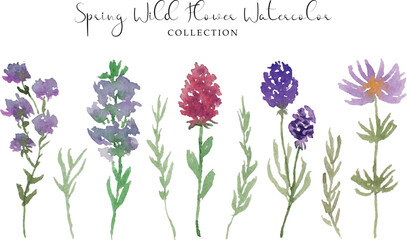 a set of cute hand painted wild flower and leaf watercolor