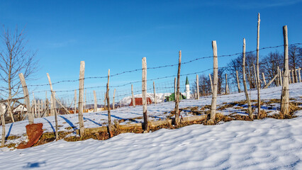 Barbed wire in village. Rusty metal wire fence.	