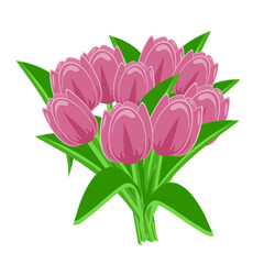 pink tulips with green leaves on a light background