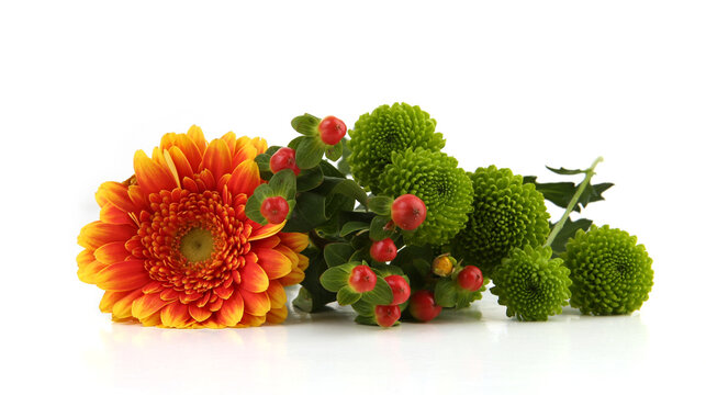 Border of Gerbera and Green Chrysanthemum isolated on white background.