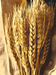 Bouquet of fresh wheat or other grain crops in craft paper.