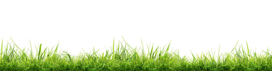 Naklejka na ściany i meble Hi Resolution image of Fresh green grass isolated against a transparent background