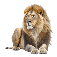 lion isolated on white transparent, ai generated