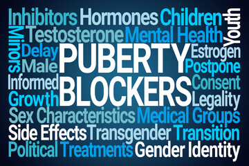 Puberty Blockers Word Cloud on Blue Background