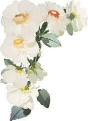 Watercolor illustration of white flowers bouqet png isolated on transparent background. Floral arrangment graphic, watercolor illustration of spring flowers.