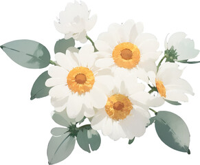 Watercolor illustration of white flowers bouqet png isolated on transparent background. Floral arrangment graphic, watercolor illustration of spring flowers.