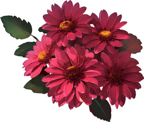 Illustration of red gerbera flowers bouqet png isolated on transparent background. Floral arrangment graphic, watercolor illustration.