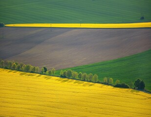 Agricultural landscape, fields of yellow colza and green grain under moody sunlight aerial view....