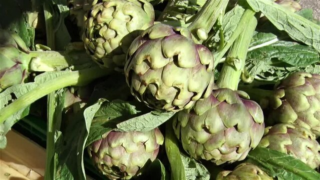 Cassa di carciofi