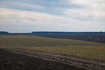 Fototapeta na wymiar plowed field and sky in Ukraine