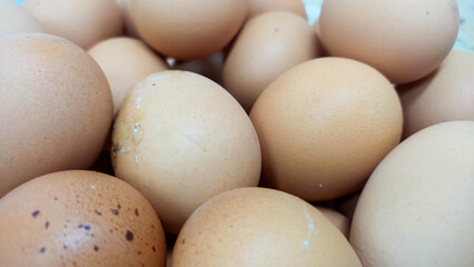 eggs in the box