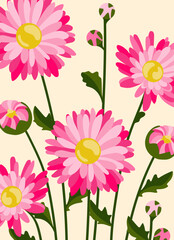 Pink daisy background.Eps 10 vector.