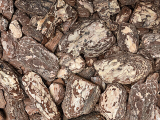 Natural background. Background of crushed tree bark. Abstract background. Mulch. Eco-friendly material. View from above. The background is made of natural wood. Copy space