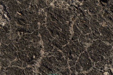 Fototapeta na wymiar Rock plate. Colored stone surface. Geology and Metamorphic rocks.