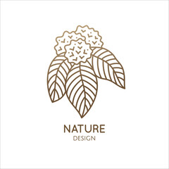 Flower logo of hydrangea. Floral emblem of hydrangea with inflorescences in linear style. Vector abstract badge for design of natural products, flower shop, cosmetics, ecology concepts, health, spa