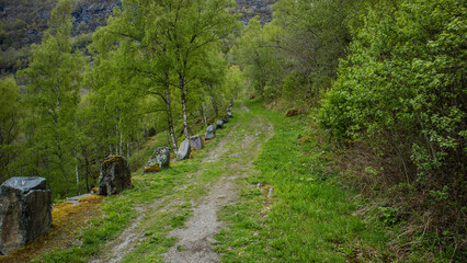 Stara Droga Królewska w okolicach Leardal w Norwegii