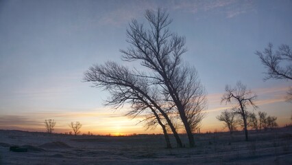 Fototapeta na wymiar Red sky in the morning in the field