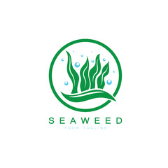 Obraz premium Seaweed vector logo icon illustration design.includes seafood,natural products,florist,ecology,wellness,spa.