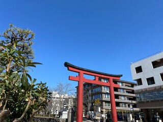 晴れた日の鎌倉の鶴岡八幡宮の鳥居
