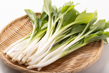 山形県寒河江市産　うるい