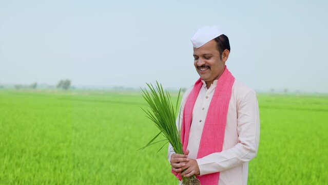 Happy village indian farmer holding paddy crop by looking camera at farmland - concept of cultivation, successful crop yield and farming or agribusiness.