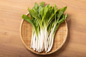 山形県寒河江市産　うるい