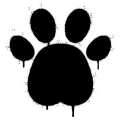 Spray Painted Graffiti Paw Print icon Sprayed isolated with a white background. graffiti paw icon with over spray in black over white.