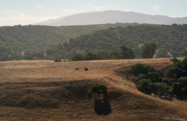 Obraz premium Hilly Vistas at Fort Ord National Monument