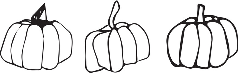 Pumpkin vector. Autumn pumpkin line art vector. Art pumpkin. 