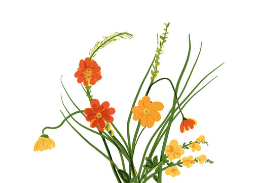 Digitale Illustration. Verspielte Blumen