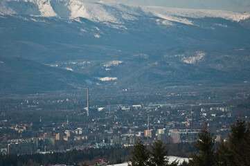 Forest, winter lindscape, tree