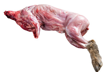 Whole game hare, raw meat on wooden old rustic table.  Isolated, transparent background.