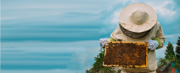 Banner. A beekeeper with protective gloves and ammunition holds a frame with bees on a blue sky background. Beekeeping. Honey production. Apiary in nature. Natural food. Bees in the honeycomb - obrazy, fototapety, plakaty