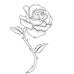 Free Vector line art and hand drawing flower art black and white flat design simple flower